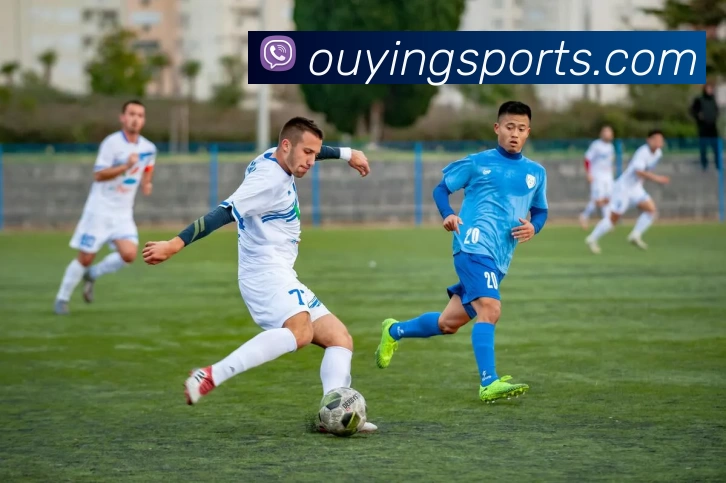 欧盈体育官网平台生态图